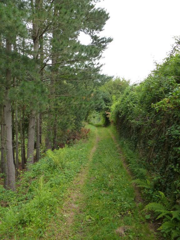 Viviendas Rurales Aldea De Dosamantes Pesaguero-La Parte Extérieur photo